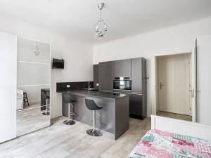 Pronájem bytu 1+kk, Praha - Žižkov, Slavíkova, 27 m2