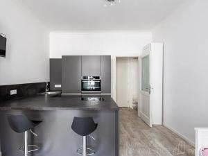 Pronájem bytu 1+kk, Praha - Žižkov, Slavíkova, 27 m2