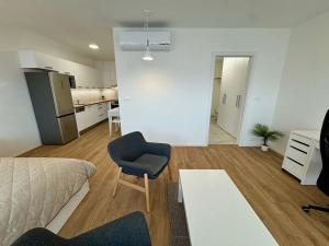 Pronájem bytu 1+kk, Brno, Lidická, 41 m2