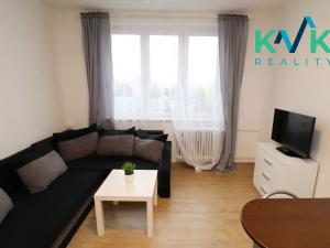 Pronájem bytu 1+kk, Sokolov, Mánesova, 22 m2