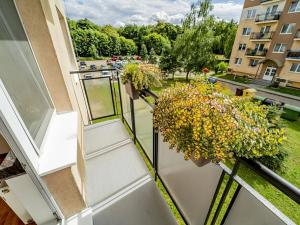 Prodej bytu 2+1, Luštěnice, 50 m2