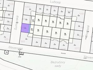 Dražba bytu 2+1, Praha - Vinohrady, Šumavská, 69 m2