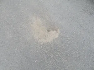Dražba chalupy, Plzeň, K Ráji, 10 m2