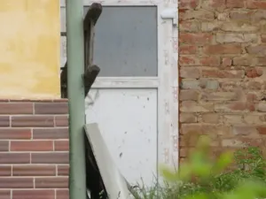 Dražba chalupy, Plzeň, K Ráji, 10 m2