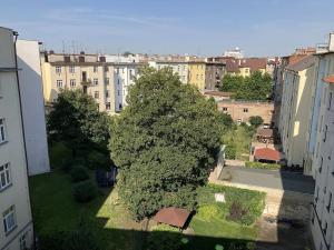 Pronájem bytu 2+1, Hradec Králové, Masarykovo náměstí, 62 m2