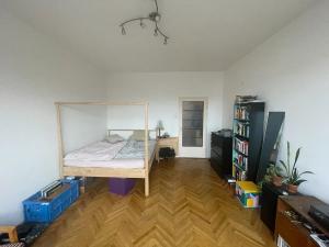 Pronájem bytu 1+kk, Praha, Ondříčkova, 31 m2