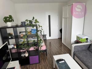 Pronájem bytu 2+kk, Ostrava, U Studia, 52 m2