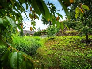 Prodej rodinného domu, Bechyně, Plechamr, 68 m2