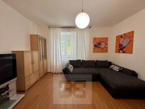 Pronájem bytu 1+1, Brno, Merhautova, 50 m2