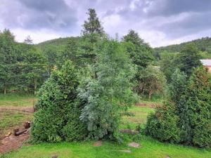 Prodej rodinného domu, Jívka, 160 m2