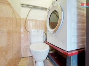 Prodej obchodního prostoru, Dolní Lukavice - Krasavce, 116 m2