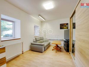 Prodej obchodního prostoru, Dolní Lukavice - Krasavce, 116 m2
