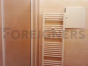 Pronájem bytu 1+kk, Praha - Záběhlice, Ve slatinách, 34 m2