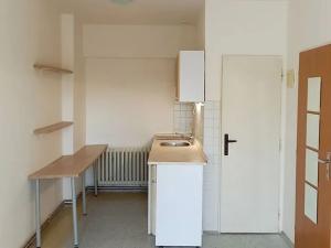 Pronájem bytu 1+kk, Brno, Volejníkova, 23 m2