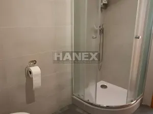 Pronájem bytu 4+kk, Praha - Vinohrady, Slezská, 113 m2