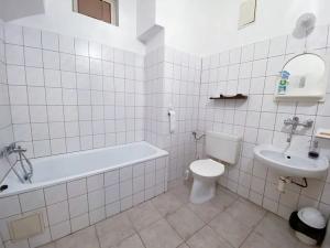 Pronájem bytu 1+kk, Brno, Hrnčířská, 27 m2