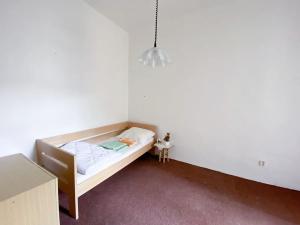 Pronájem bytu 1+kk, Brno, Hrnčířská, 27 m2