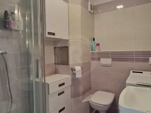 Pronájem bytu 2+kk, České Budějovice, Lipenská, 39 m2