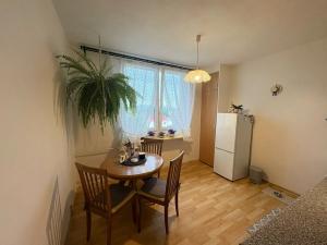 Pronájem bytu 1+1, Frýdek-Místek, K Hájku, 39 m2
