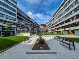 Pronájem obchodního prostoru, Brno - Staré Brno, Nové sady, 310 m2