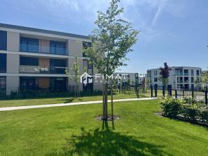 Pronájem bytu 3+kk, Olomouc - Nová Ulice, Milana Ticháka, 103 m2