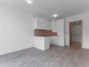 Pronájem bytu 1+kk, Praha - Vysočany, Bassova, 29 m2