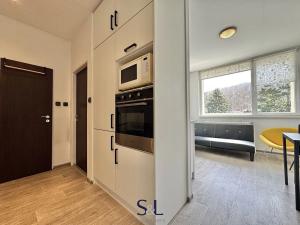 Pronájem bytu 2+kk, Josefův Důl, 31 m2