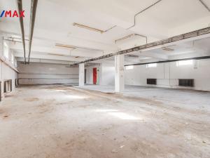 Pronájem skladu, Ostrava - Zábřeh, U Studia, 300 m2