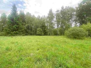 Prodej pozemku, Horní Planá - Bližší Lhota, Zvonková, 3443 m2