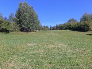 Prodej pole, Strašín, 33898 m2