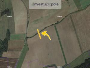 Prodej pole, Vřeskovice, 2276 m2