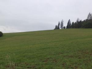 Prodej pozemku, Zbraslavec, 3445 m2