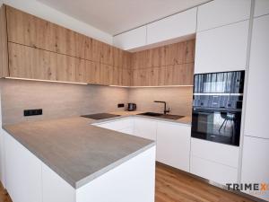 Pronájem bytu 2+kk, Ostrava - Moravská Ostrava, F. X. Riepla, 58 m2