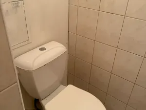 Pronájem bytu 1+1, Žatec, Husova, 35 m2