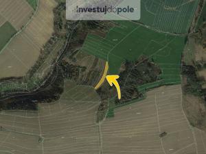 Prodej lesa, Červený Hrádek, 3345 m2