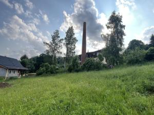 Prodej pozemku, Zlatá Olešnice, 1101 m2
