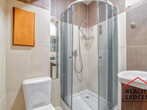 Pronájem bytu 1+kk, Karviná, Ve Svahu, 21 m2