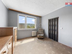 Prodej bytu 1+1, Ústí nad Labem - Neštěmice, Seifertova, 35 m2
