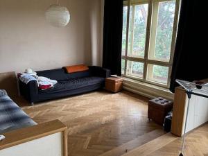 Prodej rodinného domu, Manětín, 250 m2