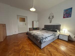 Pronájem bytu 2+1, České Budějovice - České Budějovice 3, Fr. Hrubína, 75 m2