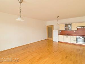 Pronájem bytu 2+kk, Praha - Holešovice, U Uranie, 70 m2