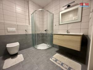 Pronájem bytu 1+1, Kadov - Vrbno, 45 m2