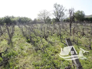 Prodej rodinného domu, Goritsa, Bulharsko, 80 m2