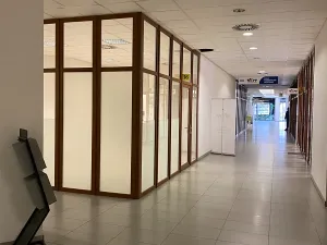 Pronájem obchodního prostoru, Brno, Gajdošova, 37 m2