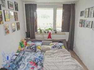 Prodej bytu 3+1, Mělník, Sportovní, 76 m2
