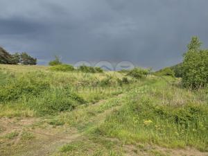 Prodej rybníku, Obory, 16271 m2