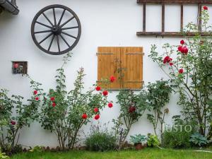 Prodej rodinného domu, Písek, Obecní, 518 m2