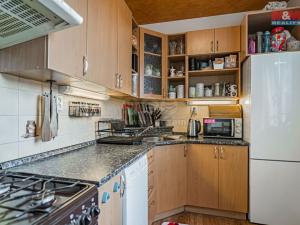 Prodej bytu 2+1, Český Těšín, U Mlékárny, 53 m2