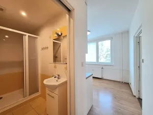 Pronájem bytu 2+1, Brno, Kamínky, 65 m2