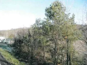 Prodej pozemku, Vranov, 1835 m2